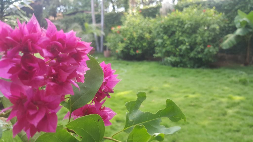 לאון Hostal El Jardin מראה חיצוני תמונה