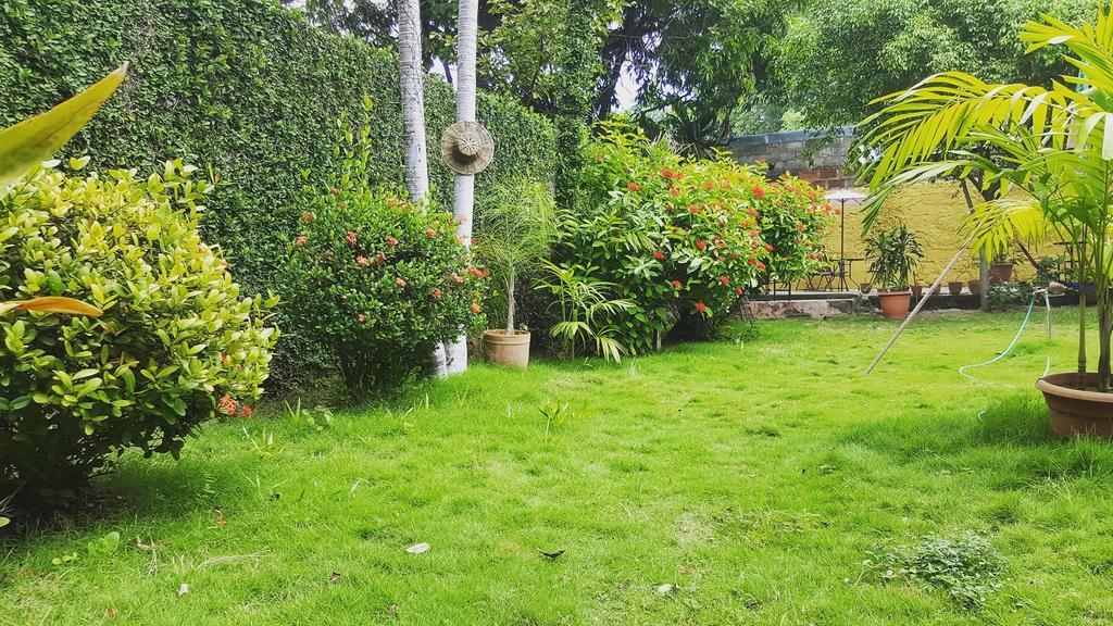 לאון Hostal El Jardin מראה חיצוני תמונה
