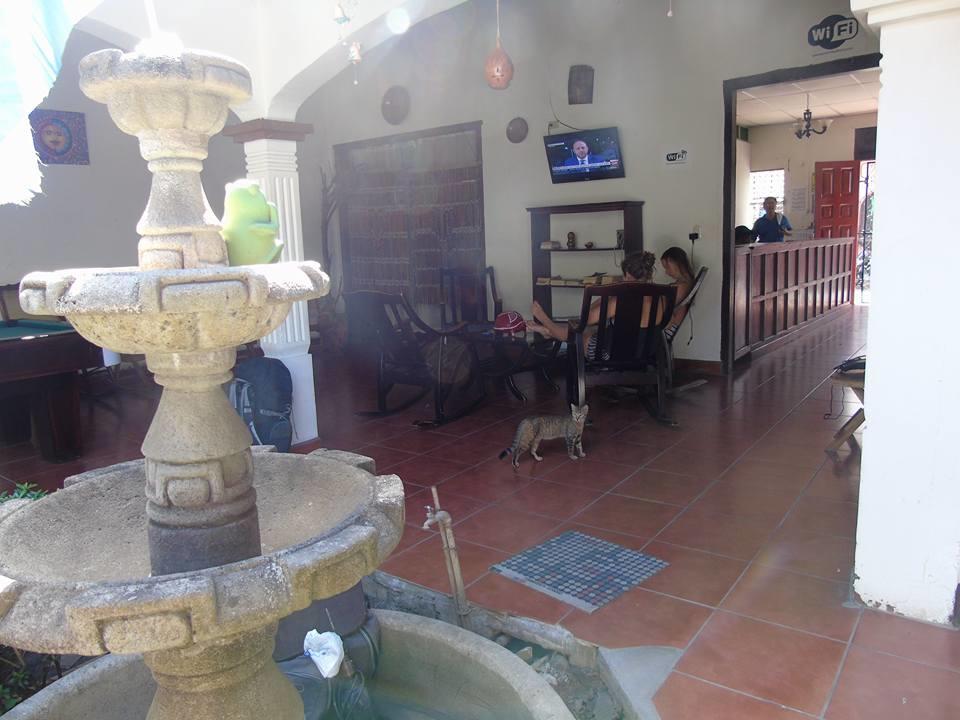 לאון Hostal El Jardin מראה חיצוני תמונה